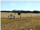 Hawkesdale VIC 3287