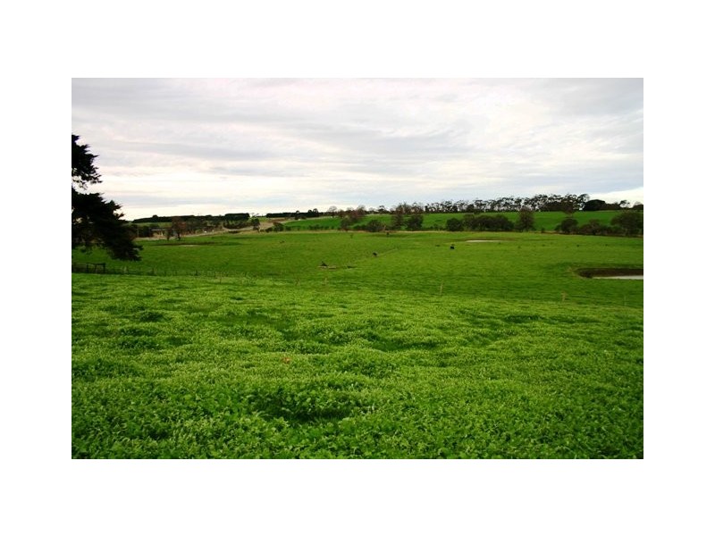 Terang VIC 3264