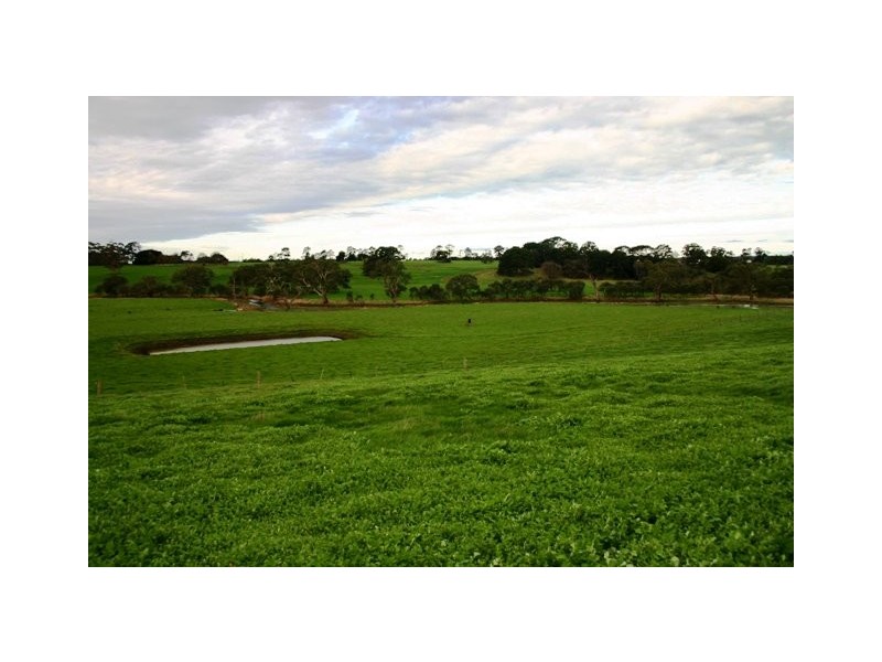 Terang VIC 3264