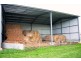 Terang VIC 3264