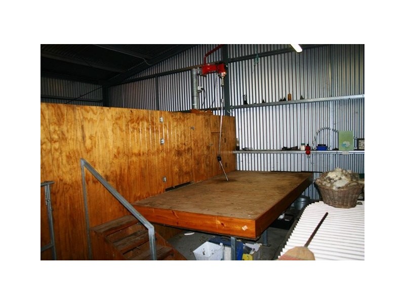 Terang VIC 3264