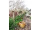 Mortlake VIC 3272