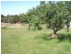 Allansford VIC 3277