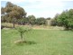 Allansford VIC 3277