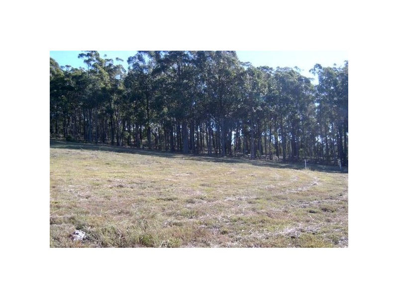 2 Boggy Creek Road, Millingandi NSW 2549