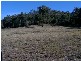 3 Boggy Creek Road, Millingandi NSW 2549