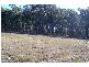 93 Boggy Creek Road, Millingandi NSW 2549