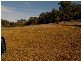 93 Boggy Creek Road, Millingandi NSW 2549