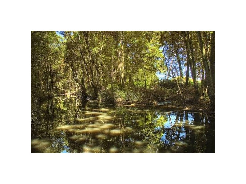 A Booral Rd, Bulahdelah NSW 2423