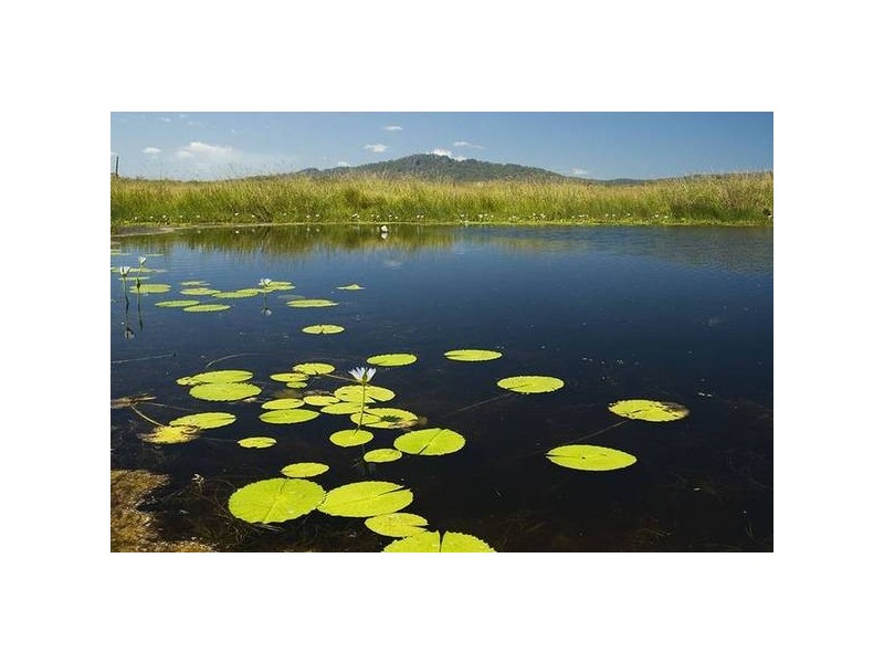 A Booral Rd, Bulahdelah NSW 2423