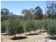 88 Blewitt Springs Rd, Blewitt Springs SA 5171