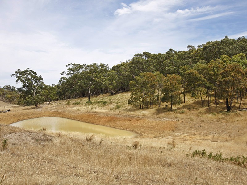Mount Magnificent Road Via, Meadows SA 5201