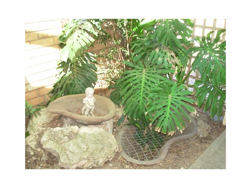 14 Follett Street, Aldinga Beach SA 5173