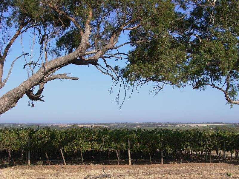 101 Strout Road, Mclaren Vale SA 5171