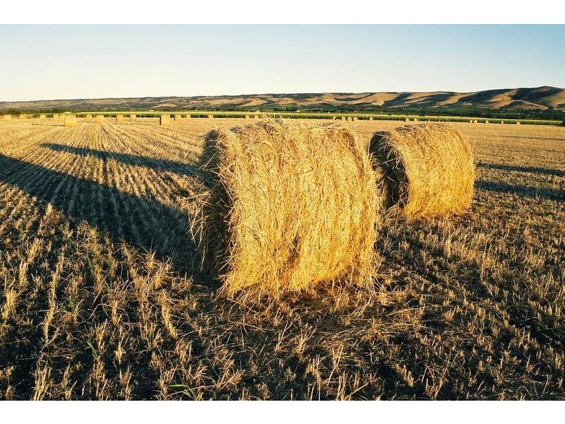 2 Richards Road, Willunga SA 5172