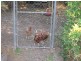 4 Hutchinson Street, Myponga SA 5202