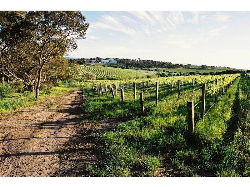 334 Kangarilla Road, Clarendon SA 5157