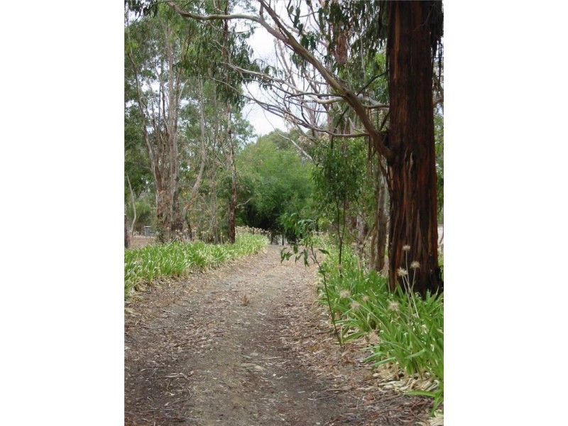 Lot 317,  Mount Bold Road, Kangarilla SA 5157