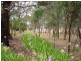 Lot 317,  Mount Bold Road, Kangarilla SA 5157