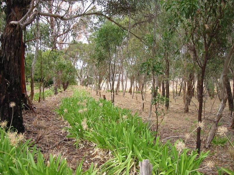 Lot 317,  Mount Bold Road, Kangarilla SA 5157