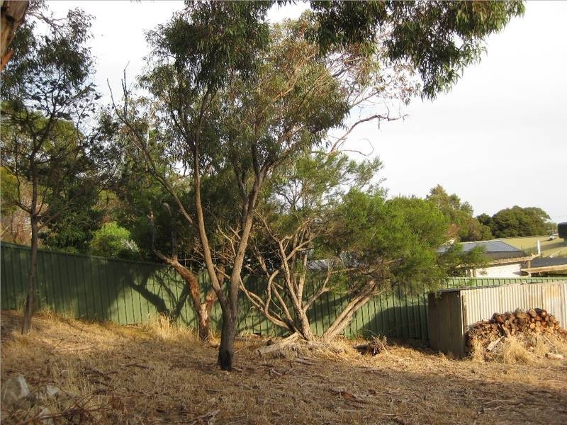 48 St Andrews Terrace, Willunga SA 5172