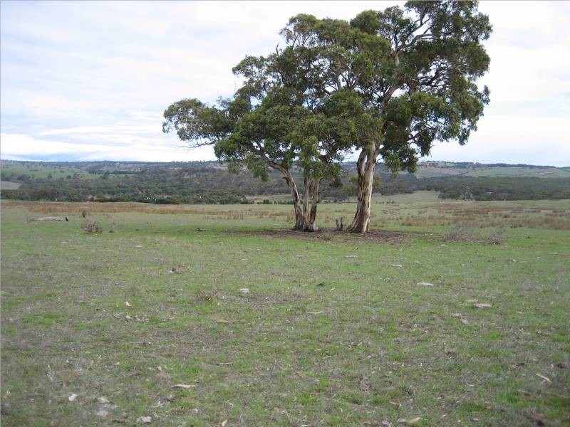 Currency Creek SA 5214