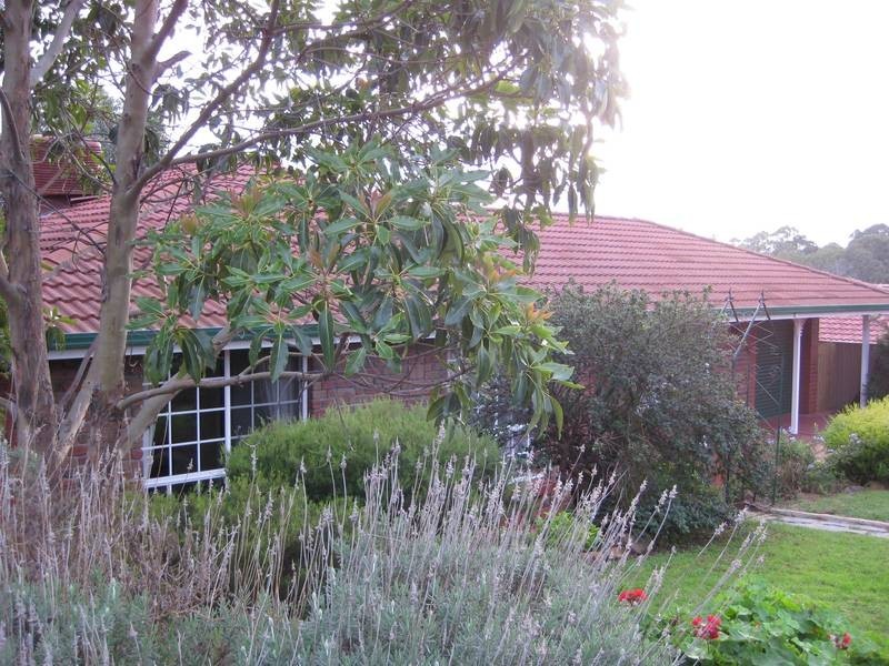 44 Wigley Drive, Mclaren Vale SA 5171