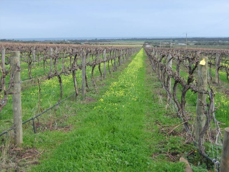 Lot 333 Culley Road, Sellicks Hill SA 5174