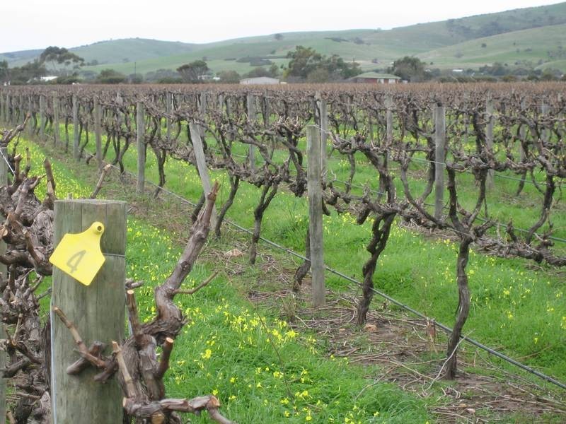 Lot 333 Culley Road, Sellicks Hill SA 5174