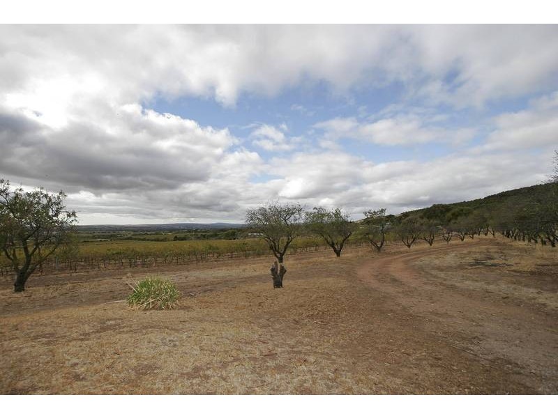 Lot 338,  Rogers Road, Willunga SA 5172