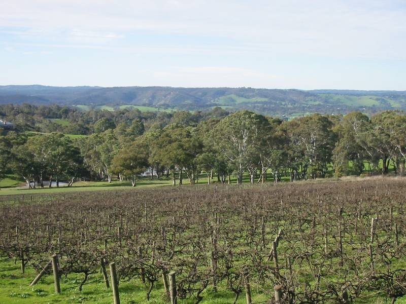 Lot 71,  Grants Gully Rd, Chandlers Hill SA 5159