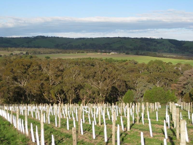 Lot 14, Blewitt Springs Road, Blewitt Springs SA 5171
