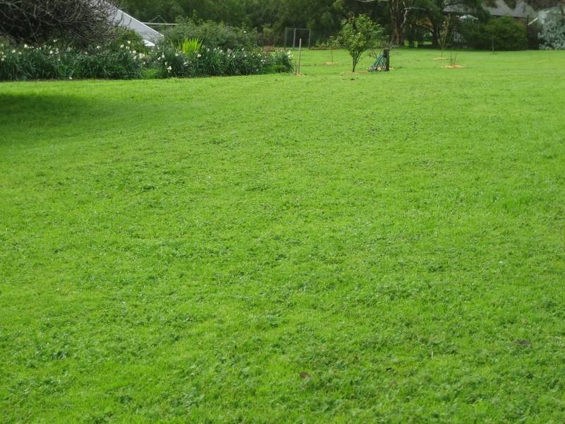 17 St Marys Street, Willunga SA 5172