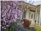 10 Dom Street, Mclaren Flat SA 5171