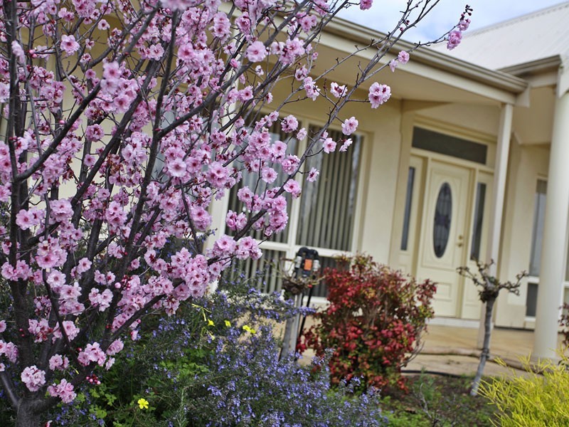 10 Dom Street, Mclaren Flat SA 5171