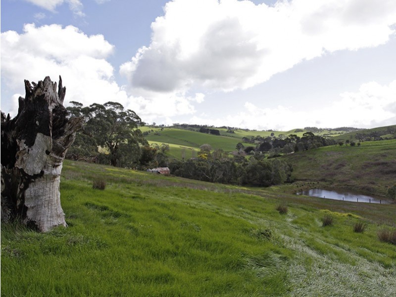 Lot 964 Adelaide-Goolwa Road (Paris Creek via Meadows), Meadows SA 5201