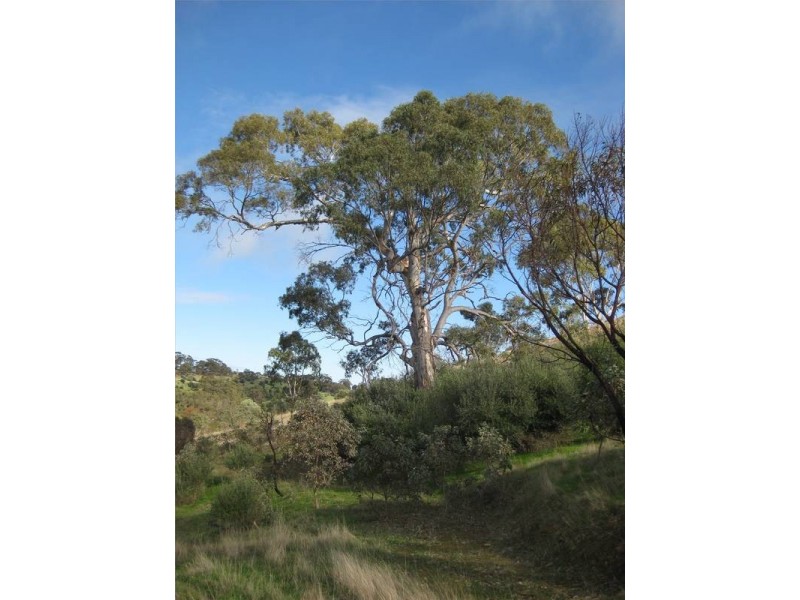 Lt 94 Bains Road, Clarendon SA 5157