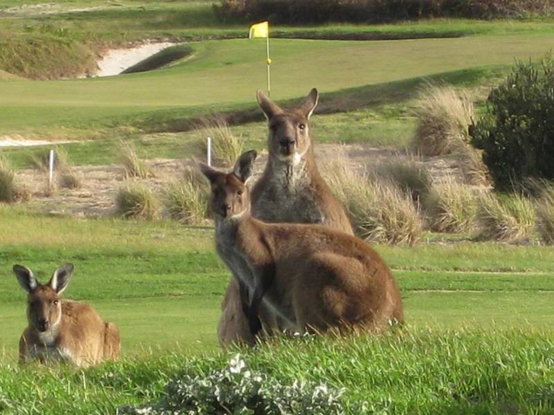 Lot 133 George Francis Drive, Mount Compass SA 5210