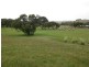 Lot 133 George Francis Drive, Mount Compass SA 5210