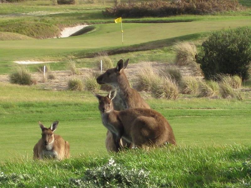 Lot 133 George Francis Drive, Mount Compass SA 5210