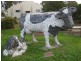 Lot 133 George Francis Drive, Mount Compass SA 5210