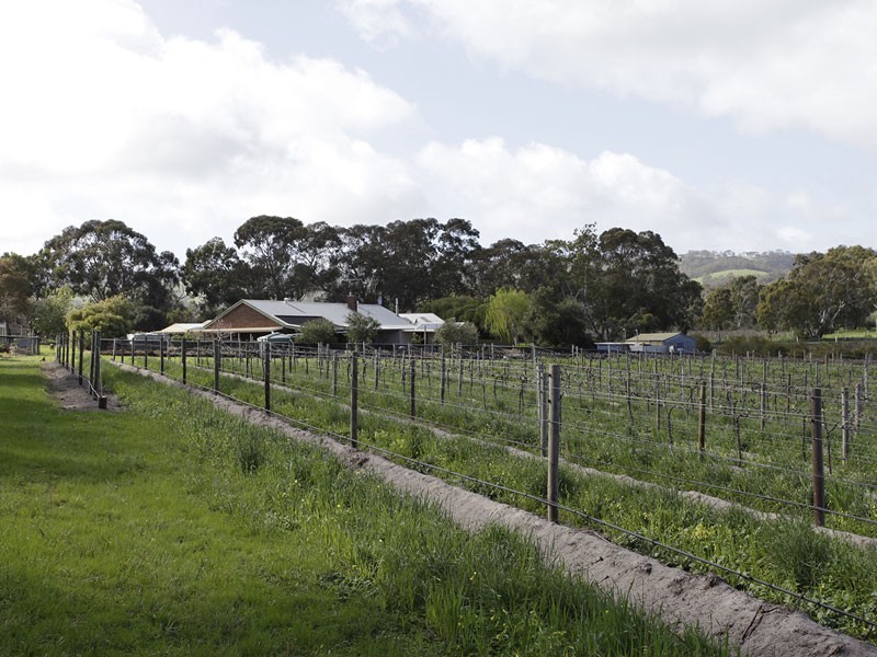 Lot 101,  Oakley Road, Mclaren Flat SA 5171