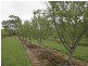 Lot 51 Aldinga Road, Willunga SA 5172