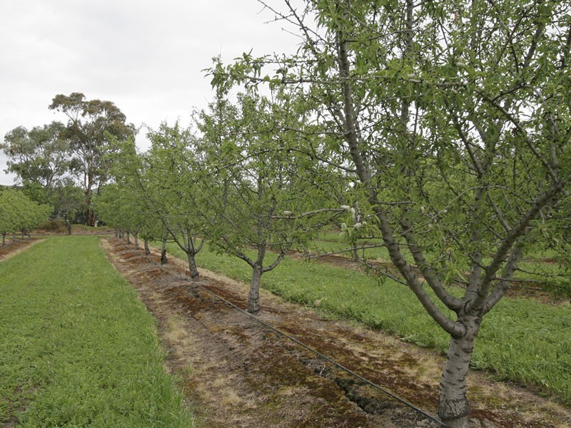 Lot 51 Aldinga Road, Willunga SA 5172
