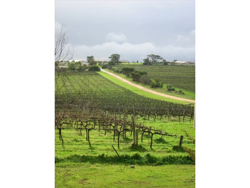 Lot 13 Pethick Road, Mclaren Vale SA 5171