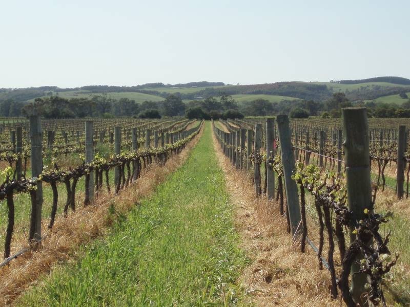 Lot 109 Main Road, Willunga SA 5172