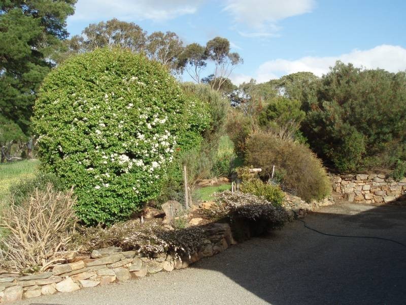 Lot 1 Cut Hill Road, Kangarilla SA 5157