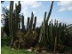 Lot 1 Cut Hill Road, Kangarilla SA 5157