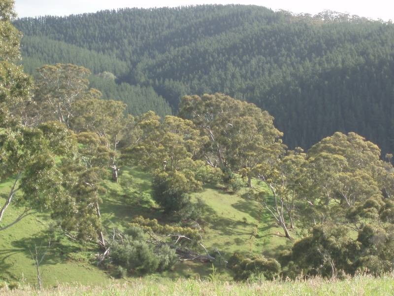 Lot 1 Cut Hill Road, Kangarilla SA 5157