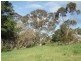 Lot 1 Cut Hill Road, Kangarilla SA 5157